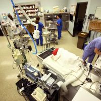 Ravenna Animal Hospital ico
