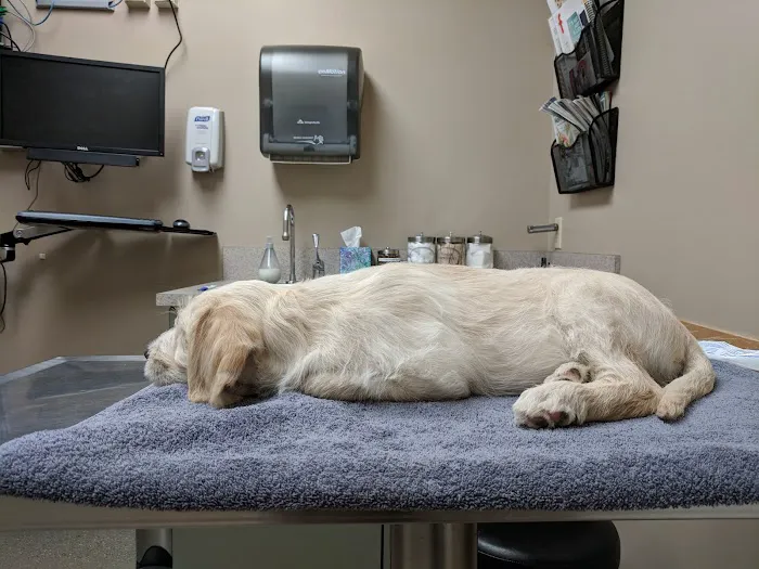 Ravenna Animal Hospital 3