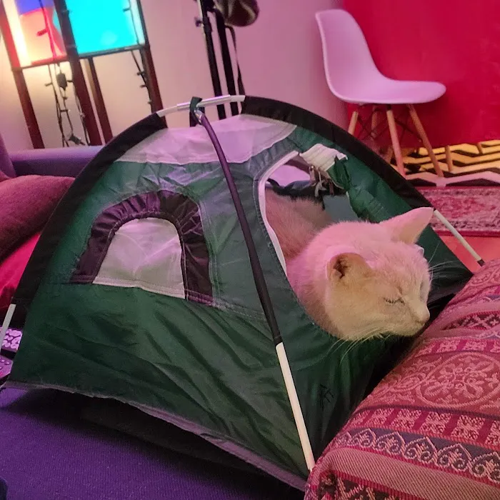 Feline Hyperthyroid Treatment Center 12
