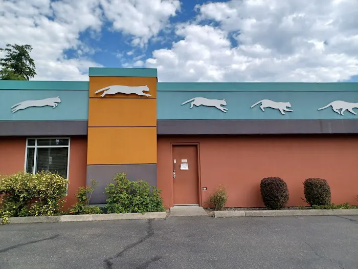 Cats Exclusive Veterinary Center 12