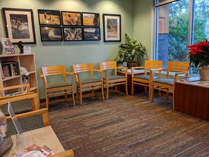 Cats Exclusive Veterinary Center 12