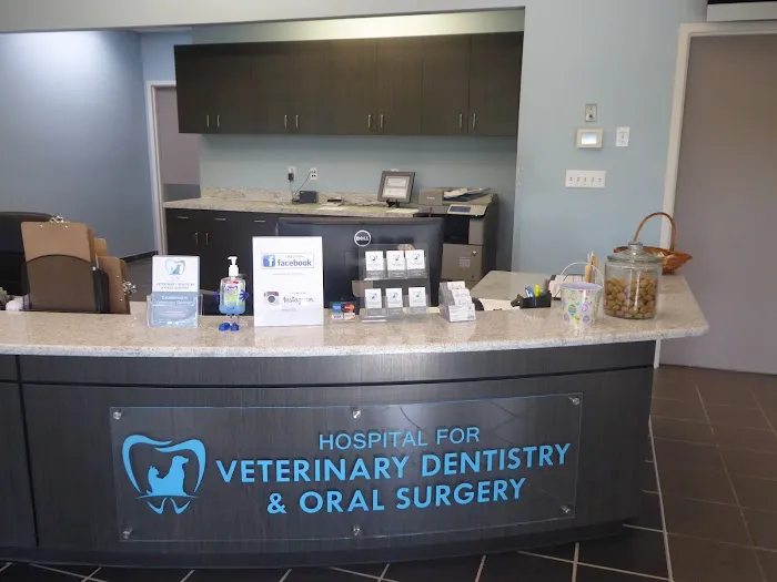 Hospital for Veterinary Dentistry and Oral Surgery 12