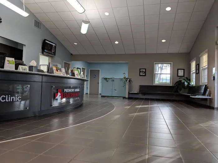 Animal Eye Clinic 9