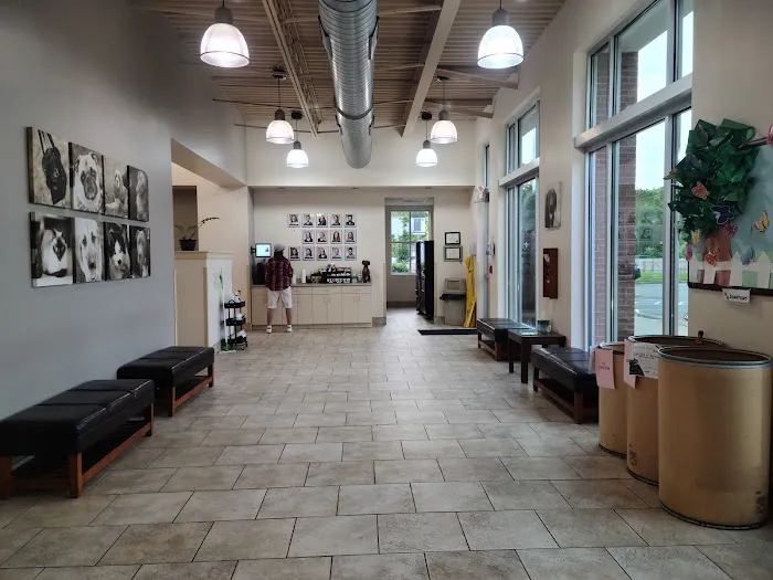 Carolina Veterinary Specialists Matthews 3