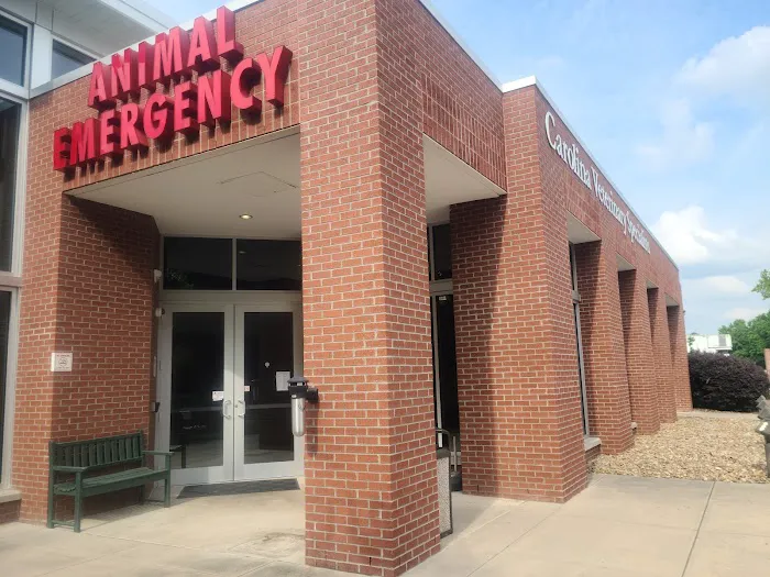 Carolina Veterinary Specialists Matthews 6