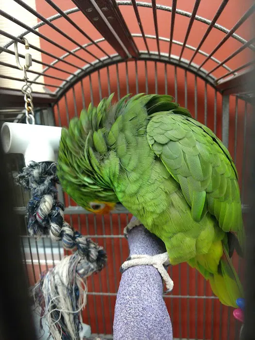Fullwood Animal Hospital 1