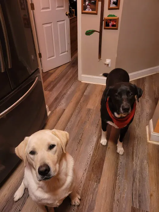 Fullwood Animal Hospital 4