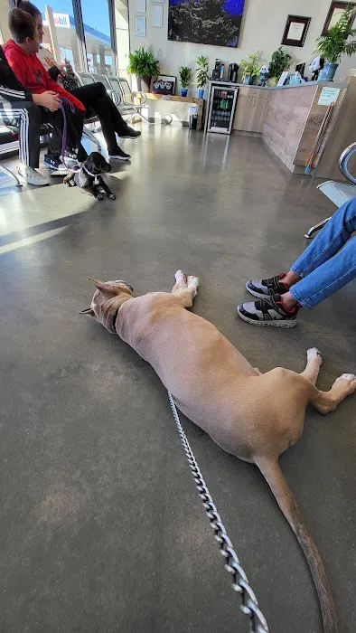 Canyon Lakes Veterinary Clinic 5