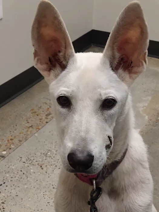 Canyon Lakes Veterinary Clinic 2