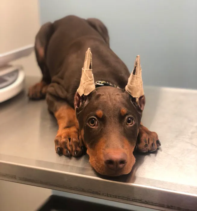 Canyon Lakes Veterinary Clinic 1