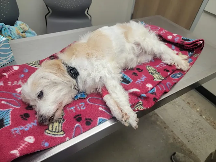 Canyon Lakes Veterinary Clinic 4
