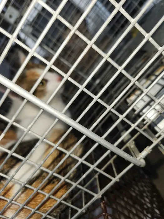 Texas Litter Control 10