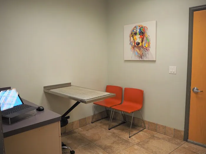Washington Heights Veterinary Clinic 9