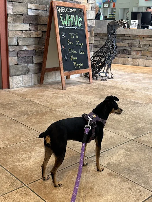 Washington Heights Veterinary Clinic 6