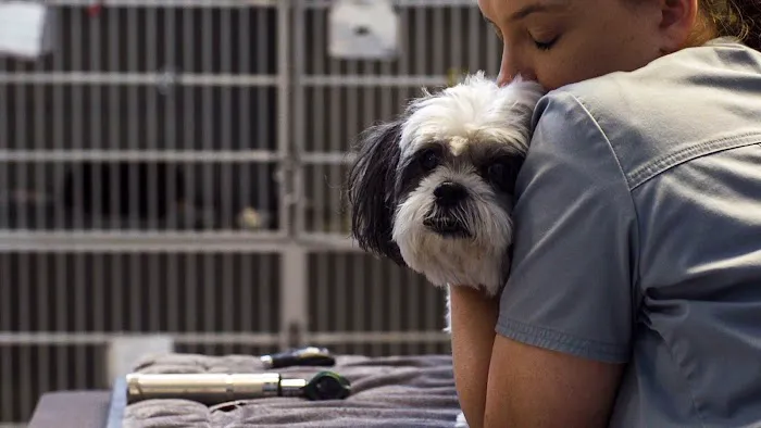 Washington Heights Veterinary Clinic 7