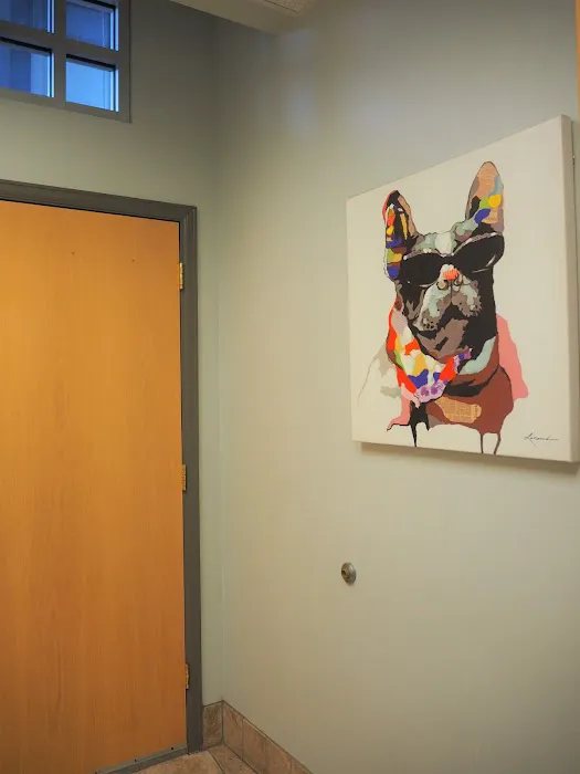 Washington Heights Veterinary Clinic 8