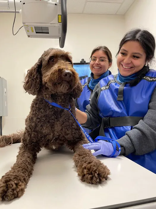 Veterinary Emergency Group 12