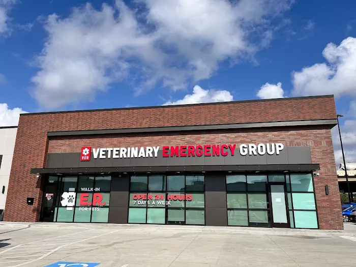 Veterinary Emergency Group 12
