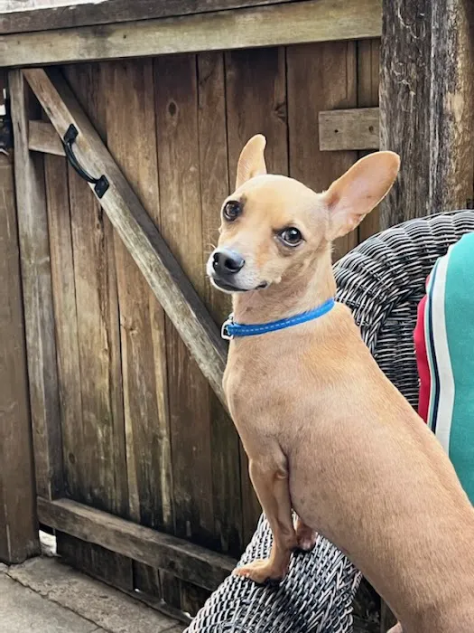 Banfield Pet Hospital 7