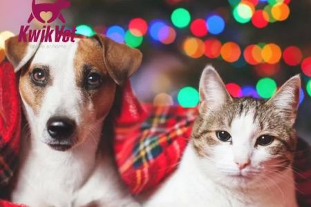 KwikVet - 24 hour veterinarians