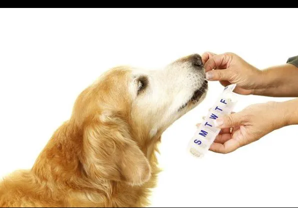 Forest West Animal Clinic 12