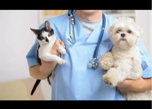Forest West Animal Clinic 12