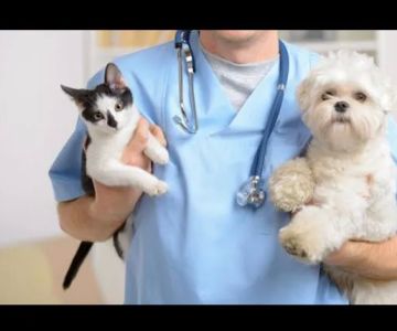 Forest West Animal Clinic