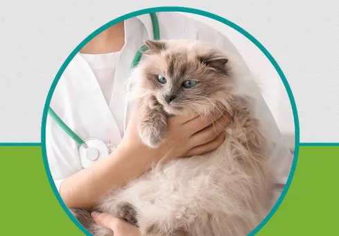 Forest West Animal Clinic 12