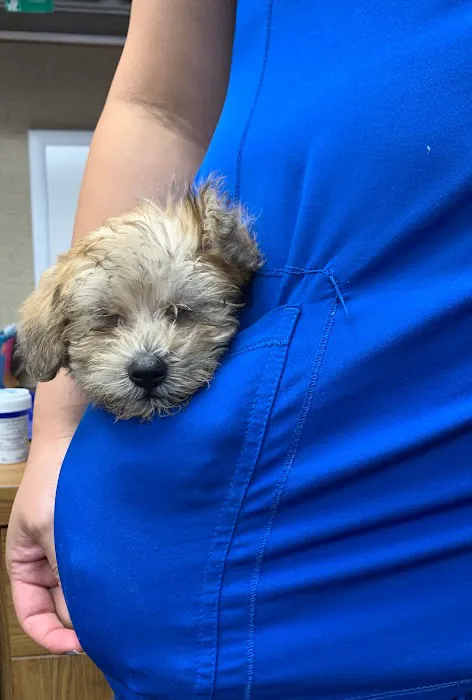 Heights Veterinary Clinic - Northwest 6