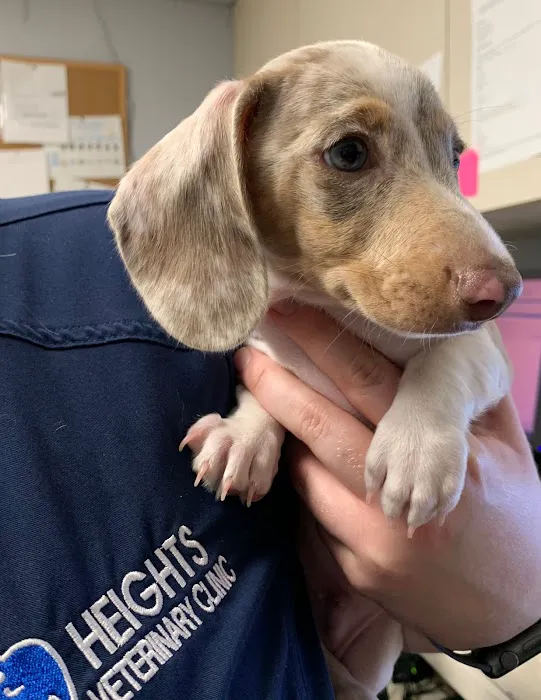 Heights Veterinary Clinic - Northwest 4