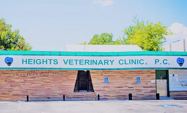 Heights Veterinary Clinic - Northwest 2