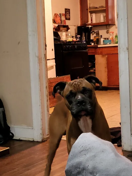 Northshore Animal Hospital, Inc. 2