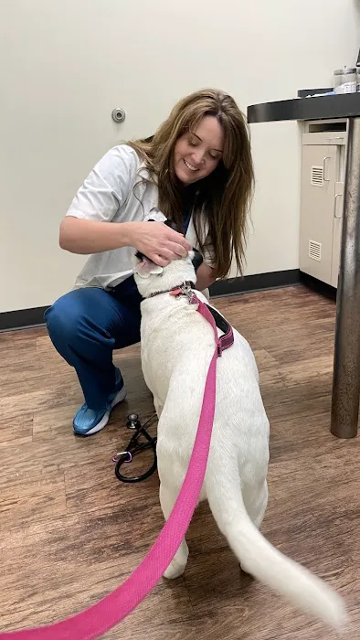 North Channel Animal Hospital 12