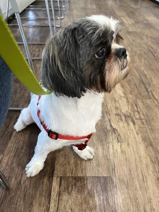 North Channel Animal Hospital 12