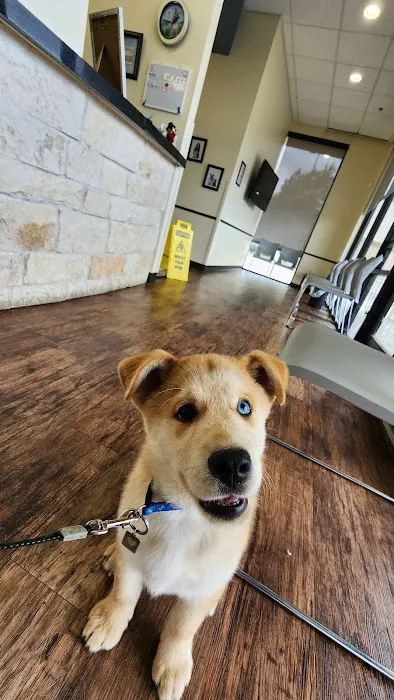 North Channel Animal Hospital 12