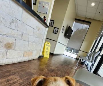 North Channel Animal Hospital