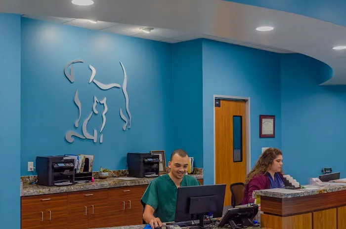 Generation Pet Veterinary Clinic 12