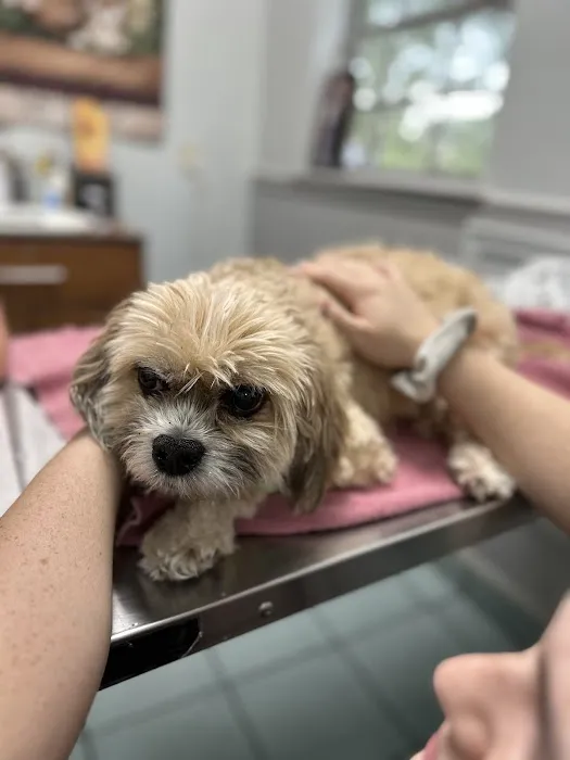 Veterans Memorial Drive Animal Hospital 3