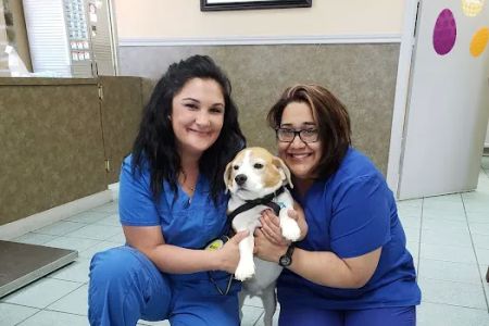 Veterans Memorial Dr Animal: Knapp Lisa M DVM