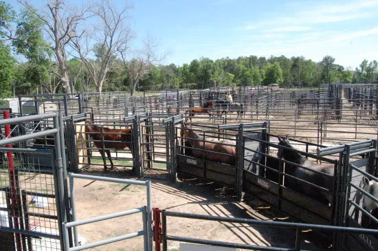 V.E.T.S. Livestock Management Services Organization, Inc, 3