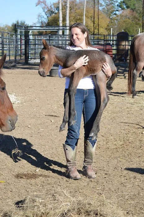V.E.T.S. Livestock Management Services Organization, Inc, 8