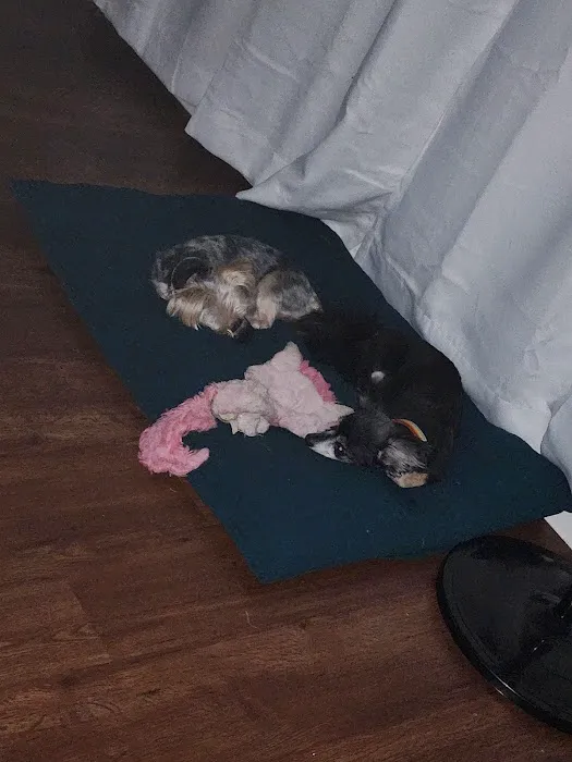 Banfield Pet Hospital 5