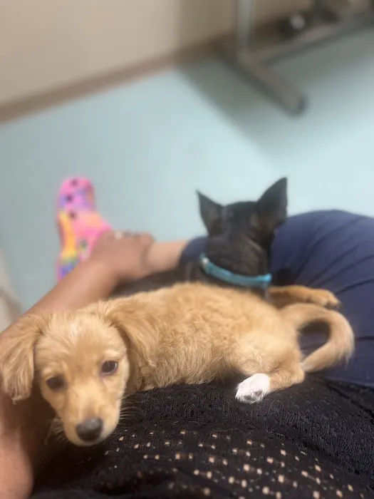 Kleinbrook Animal Hospital 9
