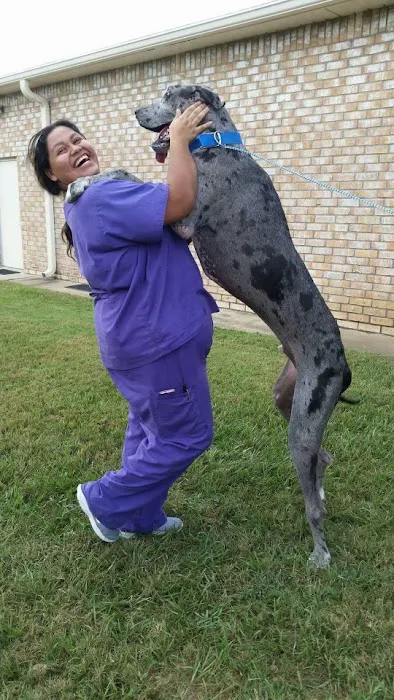 Kleinbrook Animal Hospital 8