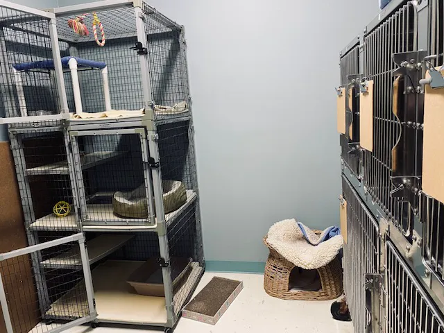 Kleinbrook Animal Hospital 7