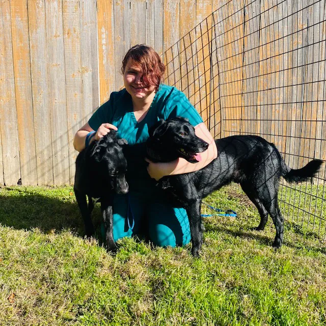 Kleinbrook Animal Hospital 5
