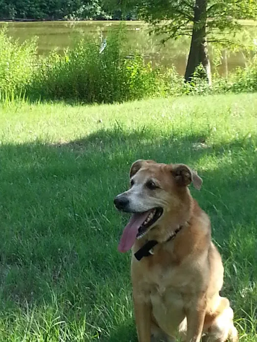 Ponderosa Animal Clinic 12