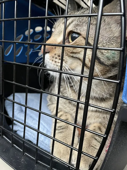 SNAP Spay-Neuter & Animal Wellness Clinic 12
