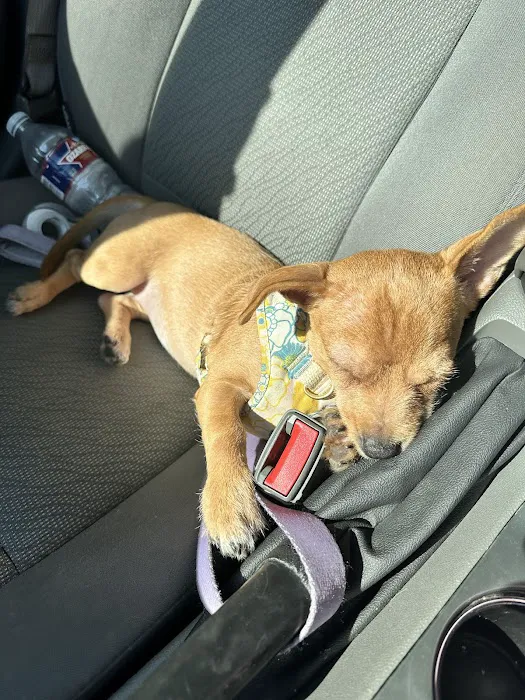 SNAP Spay-Neuter & Animal Wellness Clinic 12