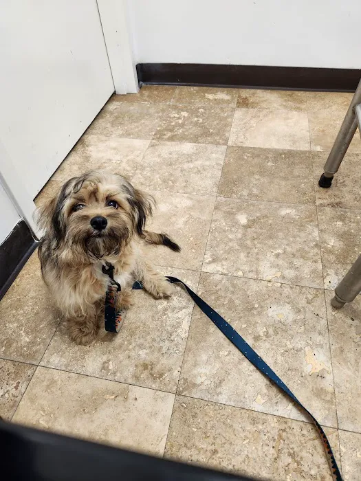 SNAP Spay-Neuter & Animal Wellness Clinic 12